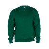 Sweat Clásica com gola redonda - Verde Garrafa