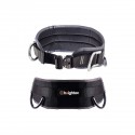 Cirrus Positioning Belt