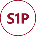 Em conformidade com a norma EN ISO 20435 Categoria - S1P